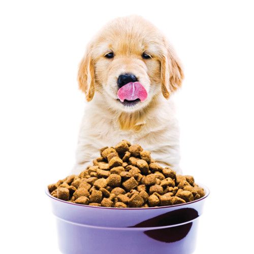 pet foods